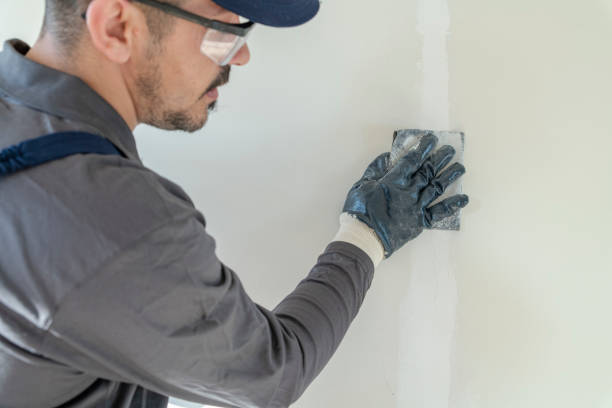 Best Mold Odor Removal Services  in USA